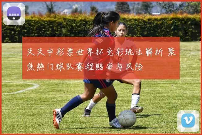 天天中彩票世界杯竞彩玩法解析 聚焦热门球队赛程赔率与风险