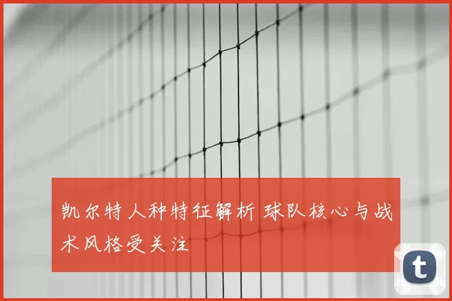 凯尔特人种特征解析 球队核心与战术风格受关注