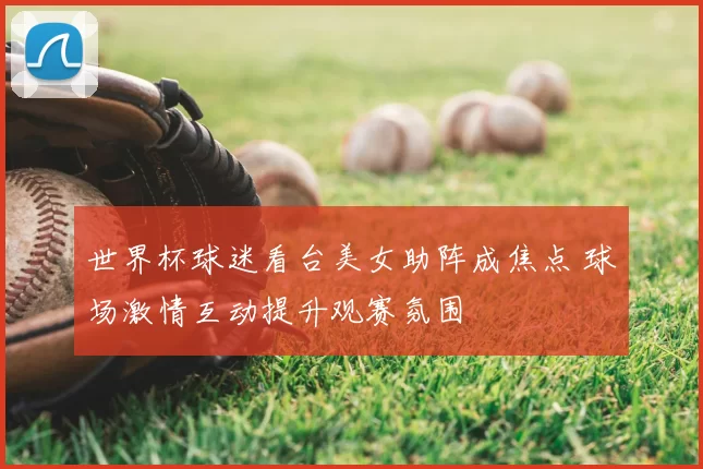 世界杯球迷看台美女助阵成焦点 球场激情互动提升观赛氛围