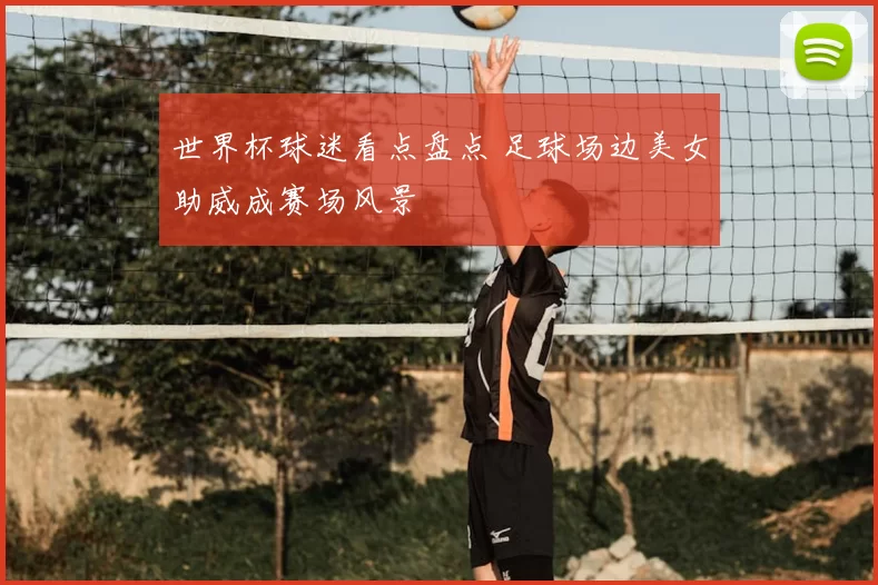 世界杯球迷看点盘点 足球场边美女助威成赛场风景