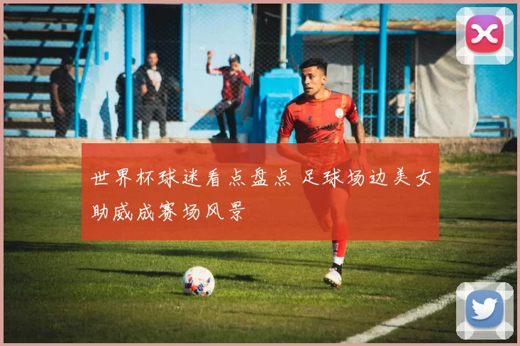 世界杯球迷看点盘点 足球场边美女助威成赛场风景